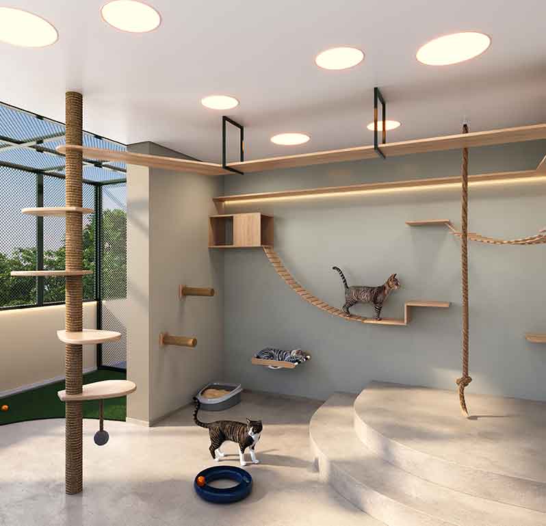 Helbor lança primeiro cat place do Brasil e é destaque na imprensa!